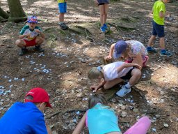 Škola v přírodě 2025