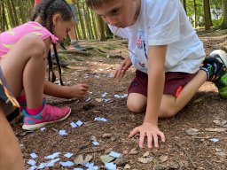 Škola v přírodě 2025