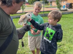 Ukázka výcviku dravců