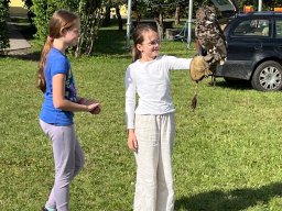 Ukázka výcviku dravců