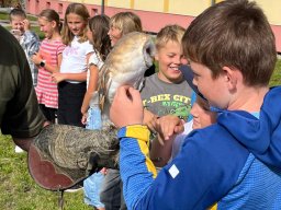 Ukázka výcviku dravců