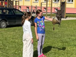 Ukázka výcviku dravců