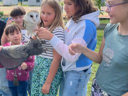 Ukázka výcviku dravců