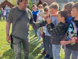 Ukázka výcviku dravců