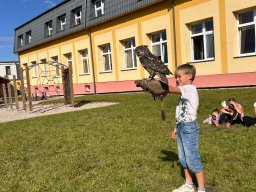 Ukázka výcviku dravců