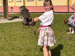 Ukázka výcviku dravců