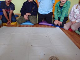 Akce s Wendy Bílkovou