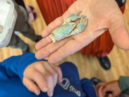 Akce s Wendy Bílkovou