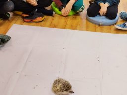 Akce s Wendy Bílkovou