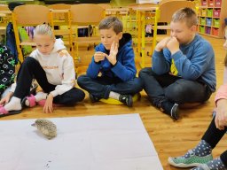 Akce s Wendy Bílkovou