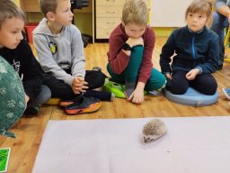 Akce s Wendy Bílkovou